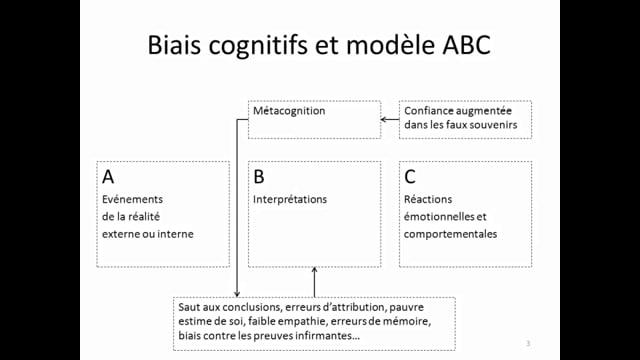 Evaluation d'un entrainement métacognitif dans la schizophrénie : résultats d'une étude contrôlée randomisée