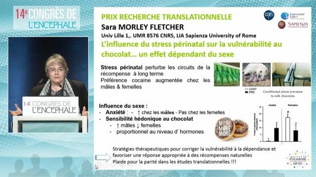 Remise des prix