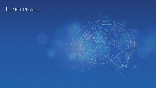 Psychiatrie de guerre