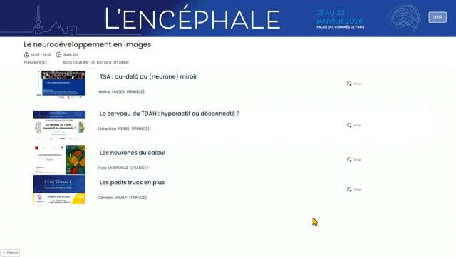 Le neurodéveloppement en images